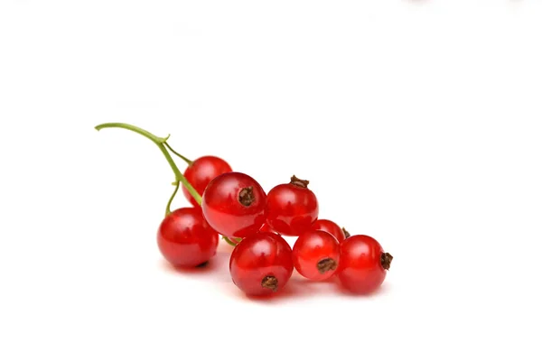 Röda vinbär isolerad på vit, närbild berry. — Stockfoto