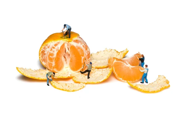 Los trabajadores en miniatura quitan las mandarinas de la cáscara. Trabajo en equipo. Mandarinas aisladas . —  Fotos de Stock
