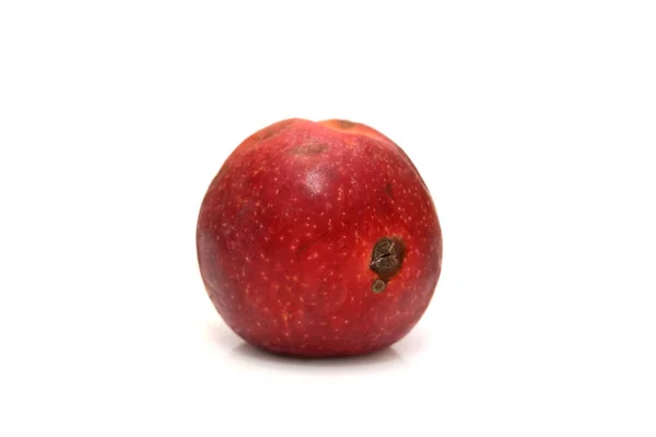 Red rotten apple, natural color and texture. — Stock Photo, Image