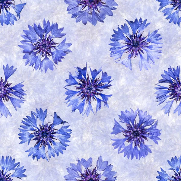 Seamless pattern with bright cornflowers on blue background. — Stock Photo, Image