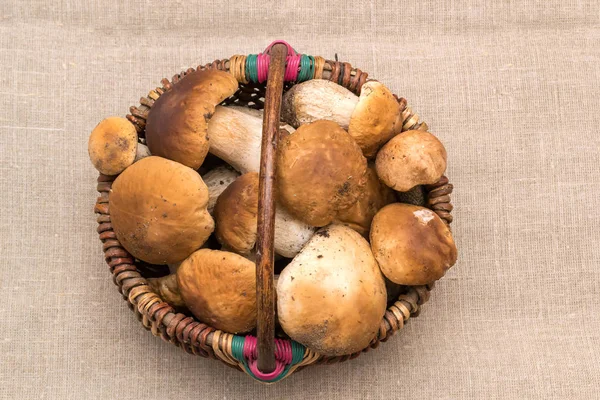 Grupo de cogumelos porcini em linho. A cor natural e textura. Cogumelo na cesta . — Fotografia de Stock