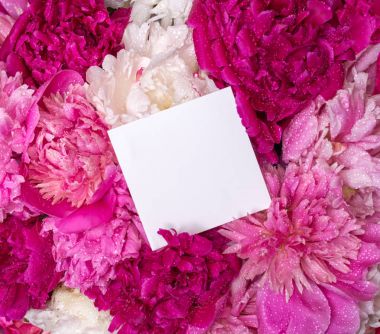 Bir buket peonies ve içinde bir not. Bahar mor çiçekler