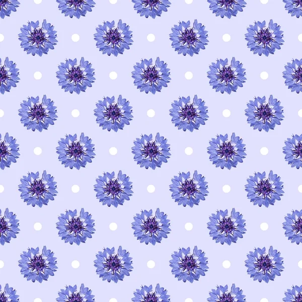 밝은 cornflowers와 파란색 배경에 점 완벽 한 패턴. — 스톡 사진