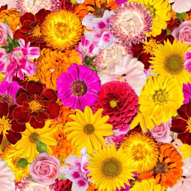 Farklı bahar çiçekleri ile Seamless modeli. Arka plan ile parlak bitkiler.