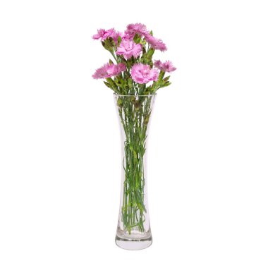 Bir buket pembe bahar çiçek şeffaf cam vazoda beyaz bir adam izole