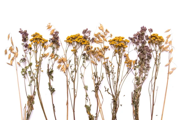 Plat lag droge takken van Boerenwormkruid en heather op een witte achtergrond — Stockfoto