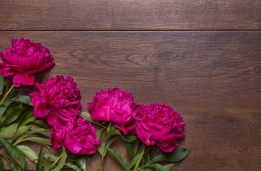 Ahşap arka plan üzerinde peonies sınır. Çiçek tasarım. Pembe ve mor bahar çiçekleri