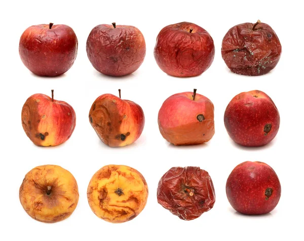 Gran conjunto de diferentes manzanas podridas aisladas sobre fondo blanco — Foto de Stock