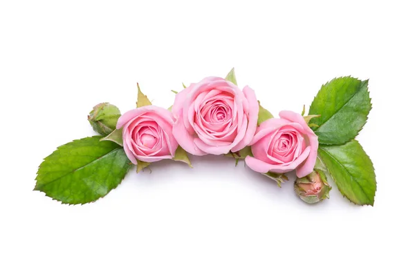 Roses roses sur fond blanc. Bordure de fleurs. Modèle pour carte d'invitation — Photo