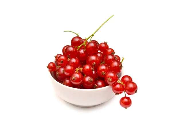 Red currant in a white plate isolated on white, closeup — Stock Photo, Image