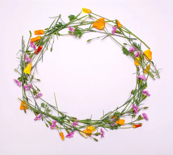 Round frame of delicate flowers. Spring yellow, purple, pink flowers on white background. View from above, flat lay, top view