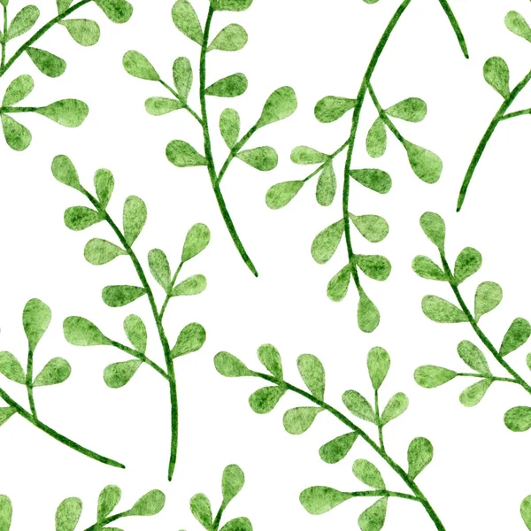 Seamless pattern with watercolor branches on a white background. — Stock Photo, Image