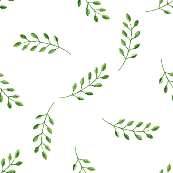 Seamless pattern with watercolor branches on a white background — Stock Photo, Image