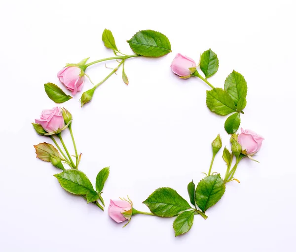 Rund Ram Ömtåliga Blommor Rosa Rosor Isolerade Vit Bakgrund Ovanifrån — Stockfoto