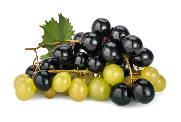 Un gros plan sur une pile de raisins noirs (Hambourg) et blancs (Italie) Muscat — Photo