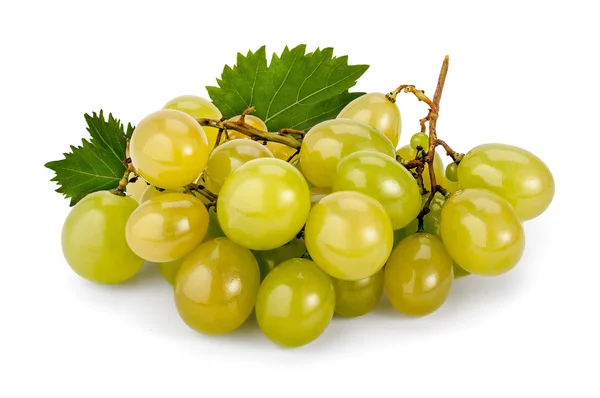 Winogron Muscat biały — Zdjęcie stockowe