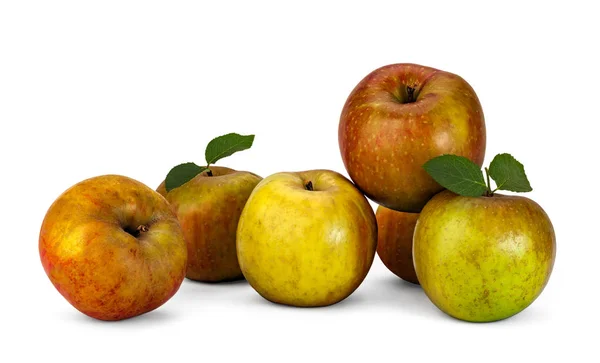 Montón de manzanas de cuajo — Foto de Stock