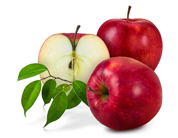 Красные спелые яблоки
