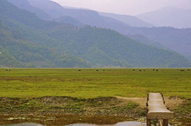 Nehir, ahşap köprü, mera ve dağ sıralarının Himalayalar üzerinden görünüm