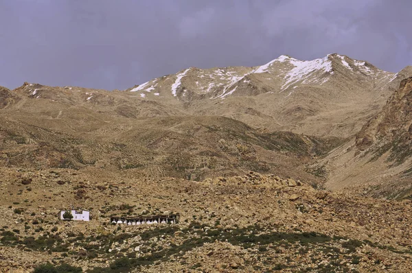 Stupas et temple bouddhistes antiques dans le désert montagneux de haute altitude de l'Himalaya — Photo