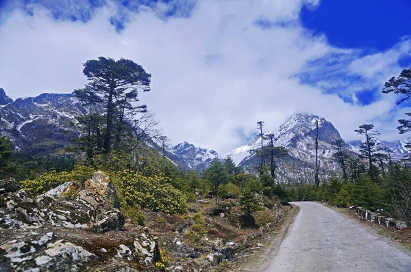 在白雪皑皑的山顶，在喜马拉雅山高海拔山区道路 图库图片