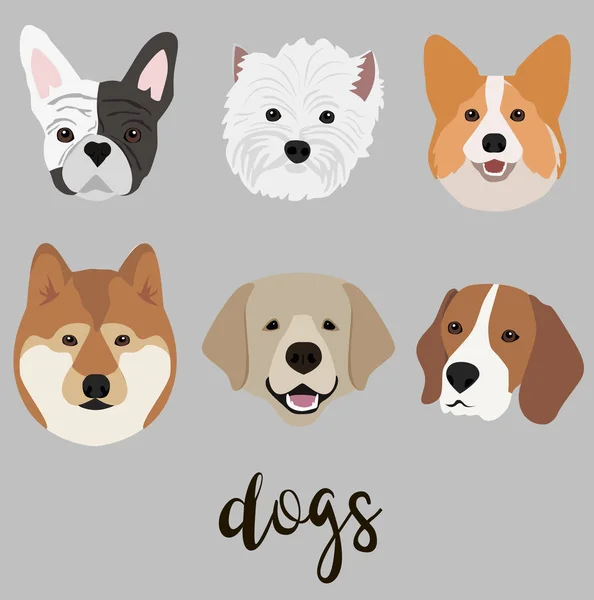Especies de las razas de perros — Archivo Imágenes Vectoriales