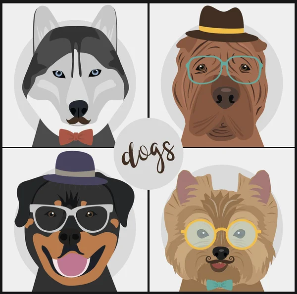 Carte de chien Hipster pour carte d'anniversaire — Image vectorielle