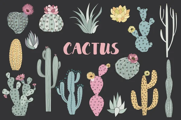 Uppsättning Cactus Och Saftiga Skiss Stil Redigerbara Vektorillustration — Stock vektor