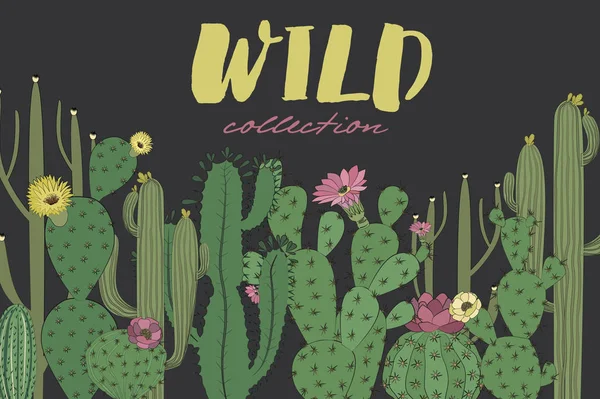 Affiche Horizontale Avec Cactus Succulente Style Croquis Illustration Vectorielle Modifiable — Image vectorielle