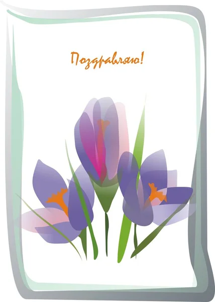 Bouquet de Crocus violet — Image vectorielle
