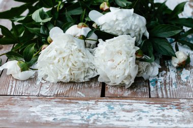 Peonieswhite ve Pembe Şakayıklar