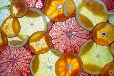 Mandalina, portakal, greyfurt ve limon dilimleri. Çok yakından, makro.