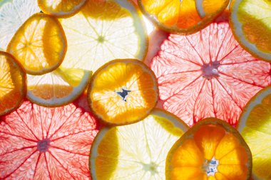 Mandalina, portakal, greyfurt ve limon dilimleri. Çok yakından, makro.