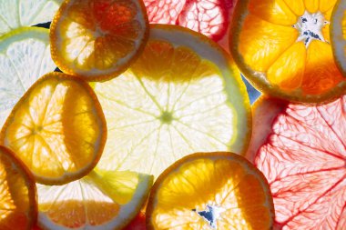 Mandalina, portakal, greyfurt ve limon dilimleri. Çok yakından, makro.