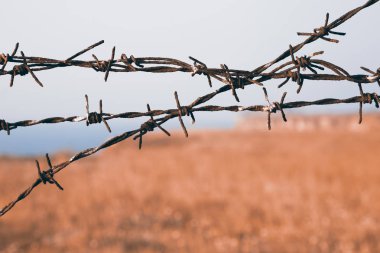 Barb tel keskin lifler görünüm kadar kapatın