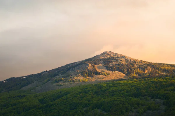 View of Kamen del peak in Vitosha Nature Park, Sofia — Stock Photo, Image