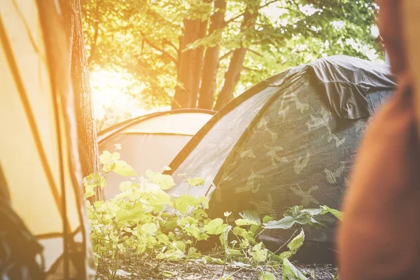 Vista a través de una puerta de tienda abierta de un camping —  Fotos de Stock