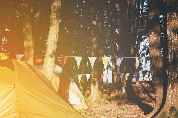 Tiendas de campaña en un camping entre árboles —  Fotos de Stock