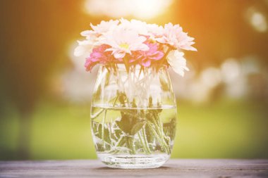 Dekoratif vecize taze pembe yaz çiçek