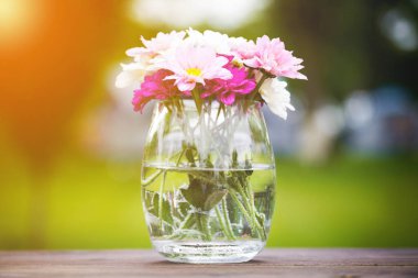 Dekoratif vecize taze pembe yaz çiçek