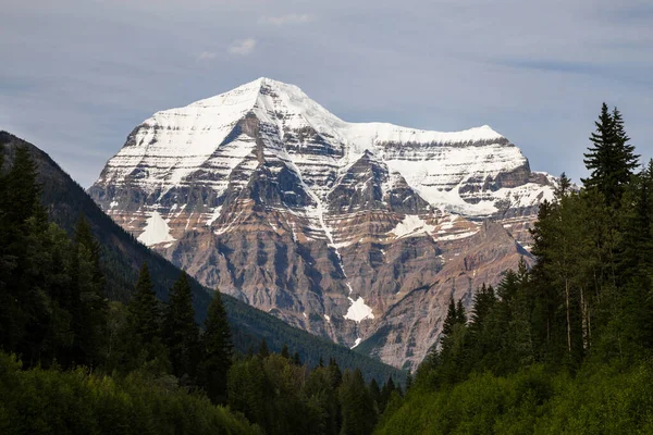 Evergreen Skogar Vid Basen Den Höga Snötäckta Toppen Mount Robson — Stockfoto