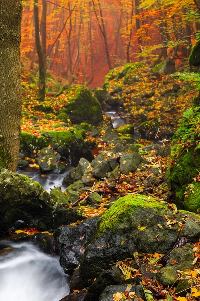 Corriente Que Fluye Través Rocas Musgosas Colorido Bosque Otoñal Con — Foto de Stock