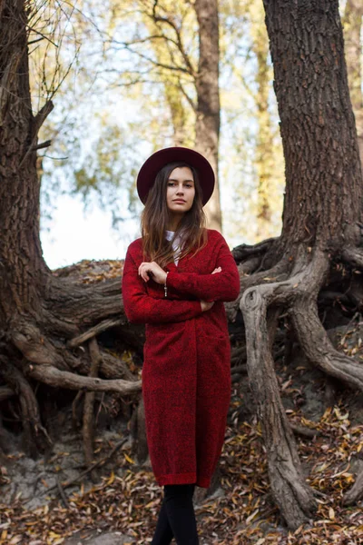 Linda chica en cárdigan rojo y sombrero en otoño —  Fotos de Stock