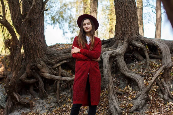 Roztomilá dívka v červené svetr a čepice na podzim — Stock fotografie