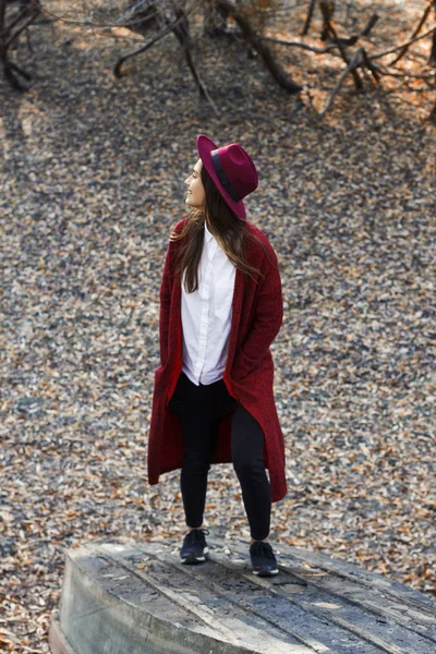 Menina bonito em vermelho casaco de lã e chapéu no outono — Fotografia de Stock