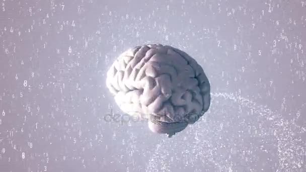 Animation of the human brain with visual effects — Stock Video