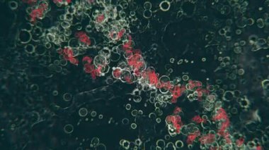 DNA 'nın gelecekteki kimyasal yapısı hareket eden mikrobiyolojik elementler arasında döner..