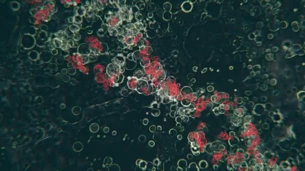 Футуристична Хімічна Структура Днк Обертається Серед Багатьох Рухомих Мікробіологічних Елементів — стокове відео
