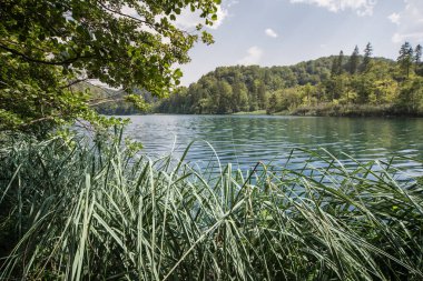 Plitvice Ulusal Parkı, Hırvatistan