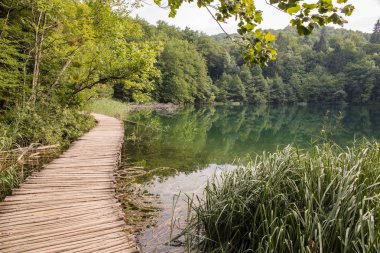 Plitvice Ulusal Parkı, Hırvatistan